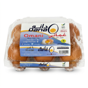 Dana Large Brown Eggs, 6 Pieces