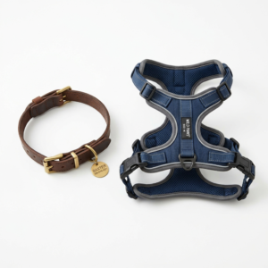 Pet Accessories